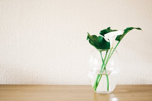 中医专家符庄彪