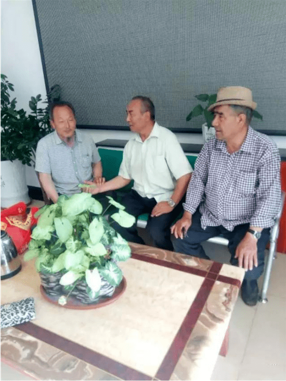 中医国粹人物——著名特色诊疗专家 朱培于