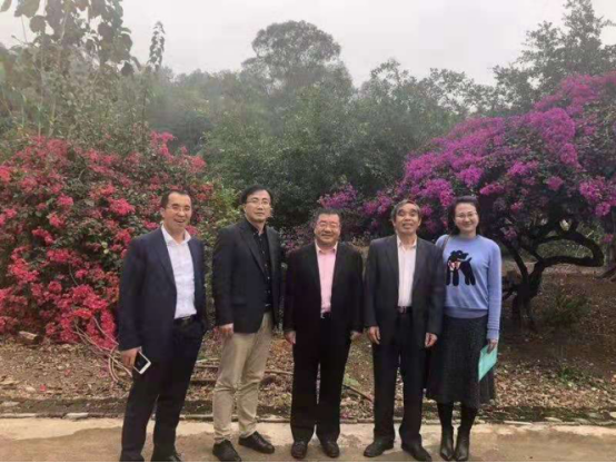 松龄春”研发人陈征