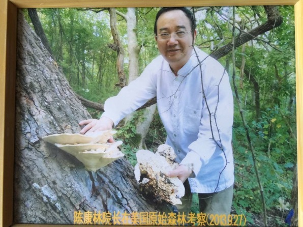 陈康林四十年心血凝聚，《药用真菌肿瘤学》惠及肿瘤家庭